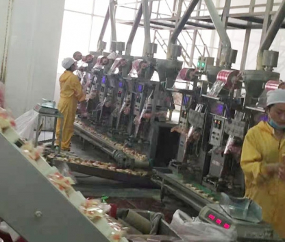 豆奶粉袋中袋生產(chǎn)線 Soy milk powder bag-in-bag production line