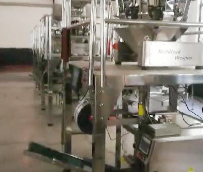 中藥飲片包裝機(jī) Chinese herbal medicine packaging machine